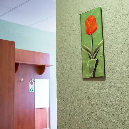 Wellness Szindbád