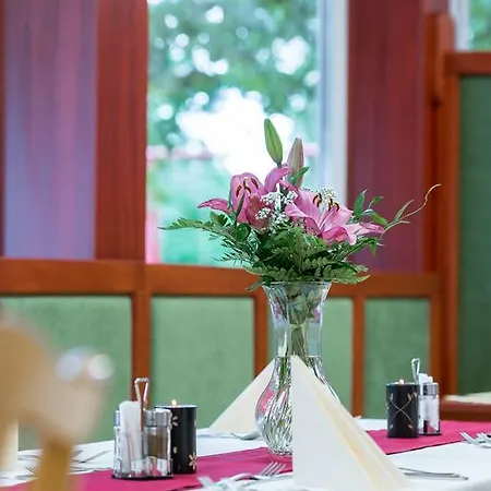 Hotel Wellness Szindbád 3*