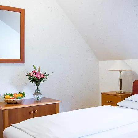 Hotel Wellness Szindbád 3*