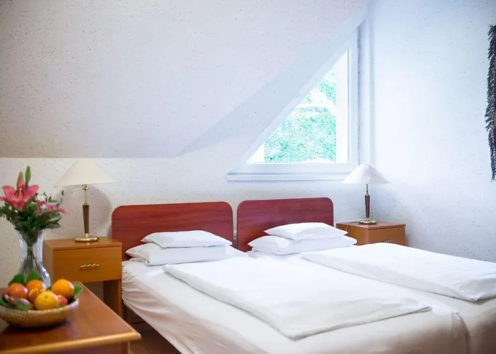 Ξενοδοχείο Wellness Szindbad Balatonszárszó