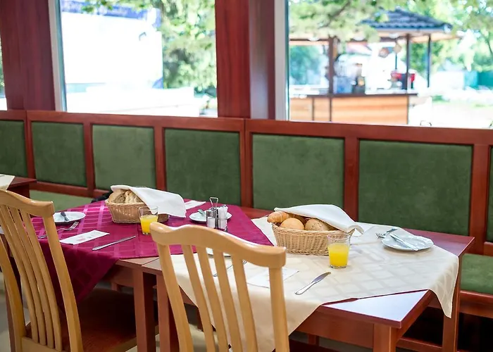 Hotel Wellness Szindbad Balatonszárszó