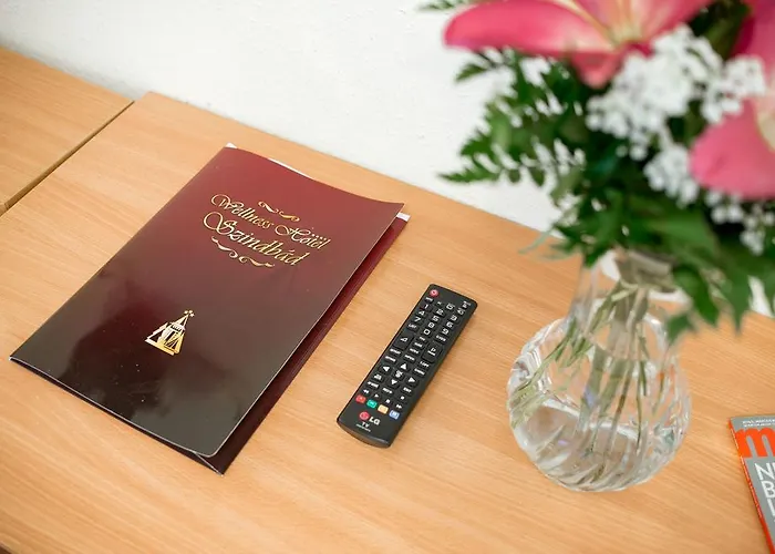 Hotel Wellness Szindbad Balatonszárszó